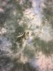 IMG-20181015-WA0007.thumb.jpg.dd2941b54e230e0eda0ac8f5c241bf1b.jpg