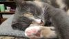 IMG-20181019-WA0020.thumb.jpg.74cf0718993c4c9182241204150fe9cc.jpg