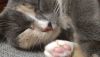 IMG-20181020-WA0050.thumb.jpg.978b318c964f3870eede2c4032589dd5.jpg