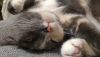 IMG-20181020-WA0054.thumb.jpg.d6a4bd068f81045d14e2a3ef34ad7ab2.jpg