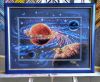 IMG-20181024-WA0009.thumb.jpg.ef5ccb323c939fb1324052e026b2bf46.jpg