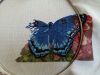 IMG_20180820_084114.jpg