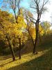 IMG_20181016_092411.thumb.jpg.71df41f143df7e43ddfee88f64fba3ff.jpg