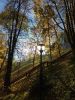 IMG_20181016_092748.thumb.jpg.2e359bb930a190688974d79abcb91118.jpg