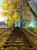 IMG_20181016_093134.thumb.jpg.7c8e86ae911b32992797a7e273c596f3.jpg