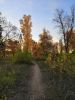 IMG_20181016_171846.thumb.jpg.38ecb3c8dc4145a07a051cbecd2d0fc4.jpg