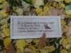 IMG_20181021_091529.thumb.jpg.6f28081c427e486c025678e736f8e8c4.jpg?1540117253834