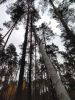 IMG_20181021_121342.thumb.jpg.6ed6ad8d94557f19f324ee9ffc8d5332.jpg