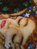 IMG_20181025_125205.jpg