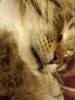 IMG_20181027_150918.thumb.jpg.8d0bf064602a62cb8223eb6b833754c6.jpg