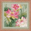Lotuses.thumb.jpg.a0f4b0b041406d0103b5c4829f20e6d2.jpg