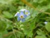 P1220159.thumb.JPG.9266f12bf75732bb7daac55be8b8f2ec.JPG