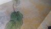 P_20181004_092643.thumb.jpg.d09113090482fc040fa654a7625737ca.jpg