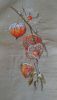 P_20181015_094420_vHDR_On.thumb.jpg.b6a63348c91d710c4384d709cca31508.jpg