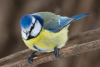 image.thumb.png.5631f041b845f66ceec80bcfb7b41d89.png