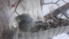 image.thumb.png.963fe11c181eed0285e7504b209ce694.png