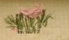 1.thumb.jpg.0625ea9a6cbd15e764a70ae3e06f4226.jpg
