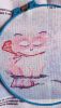 1.thumb.jpg.3604cafcd9e575ea02fc36d31b020a25.jpg