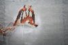 1.thumb.jpg.5f466ab58ff47f04e1edb0e794904ed0.jpg