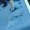 1.thumb.jpg.70e309d40a8425698d20ffae4cbde32a.jpg