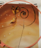 1001.thumb.png.a6940b788d1132c9c23c3af261875b14.png