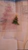 2.thumb.jpg.ccbfef217820f19ccfada6828acbbee3.jpg