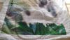 20180317_104500.thumb.jpg.bf8cbce04b839b8b5e3525080e527977.jpg