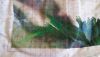 20180319_112643.thumb.jpg.0c01207283802e325ce96c378c503fd7.jpg