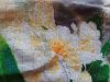 20180504_140925.thumb.jpg.df1a95bb3cf15aab646cad405bbc9971.jpg