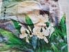 20180504_142120.thumb.jpg.b299ef64a07dd1cdf3eed88ab51a533c.jpg
