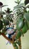 20180815_092048.jpg