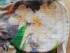 20180919_104506.thumb.jpg.9aea04d5ffdb7349a76f832d88ac798c.jpg