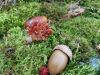 20181002_143028.thumb.jpg.1cc1b9466680a43862151409a26b93aa.jpg