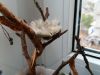 20181002_143119.thumb.jpg.4ce2768fe8b71bd8ee719a5f9335f6a8.jpg