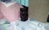20181017_140135.thumb.jpg.5bf39fc56c199efe5e03a4cd957ab6e9.jpg