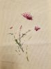 20181028_100926.jpg