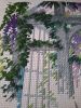 20181102_112632.thumb.jpg.098f1d3df781429294de0ab1e247addc.jpg
