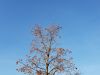 20181105_150242.thumb.jpg.5f580b79a563937cccc5a7ecaa86bf80.jpg