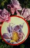 20181108_161758.thumb.jpg.0eabb0a99a5810aab57dbe26eecb1eb0.jpg