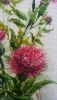20181112_081708.thumb.jpg.738aeda0cee91689d981ea449e691499.jpg