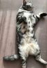 20181124_131949.thumb.jpg.4b9e897987a9703f3d0c5bcbe481017f.jpg