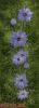 2173.thumb.jpg.6e36be8539a0423d1dbcf517f5168aec.jpg
