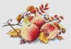 24115.thumb.jpg.ab07556c8cc950ec6d6105dc44b4a07a.jpg