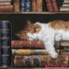 Vervaco PN-0147121, Sleeping Cat