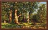 2688355-b476-dybovaya-rosha-luca-s.jpg