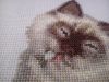 3.thumb.JPG.6fe87fd9feacd1cfc646b0a1524dd600.JPG