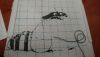 3.thumb.jpg.4dbf2b71cd6786dc8929cb06645fd6d9.jpg