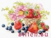 30176.thumb.jpg.bbe8158ceebc3023d7602c69b235c3ab.jpg