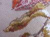 4.thumb.JPG.e4b4efe0dc36bba6ef08c62d099d4ab8.JPG