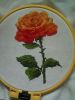 4.thumb.jpg.6f6cdf9ffcc52abc62b230d2080cb1eb.jpg